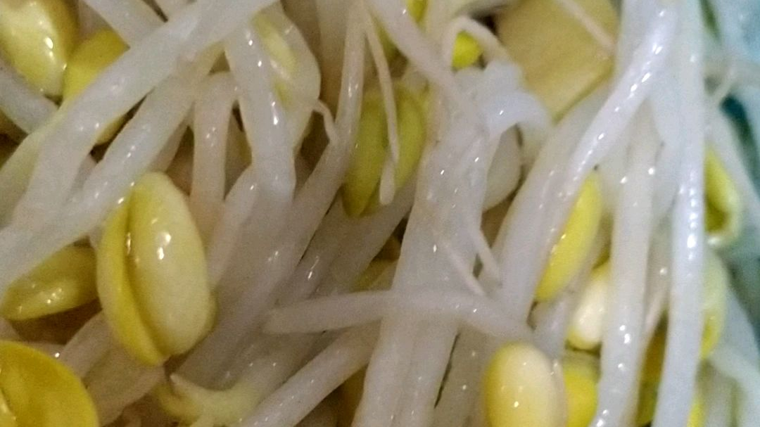 清脆爽口的豆芽饭